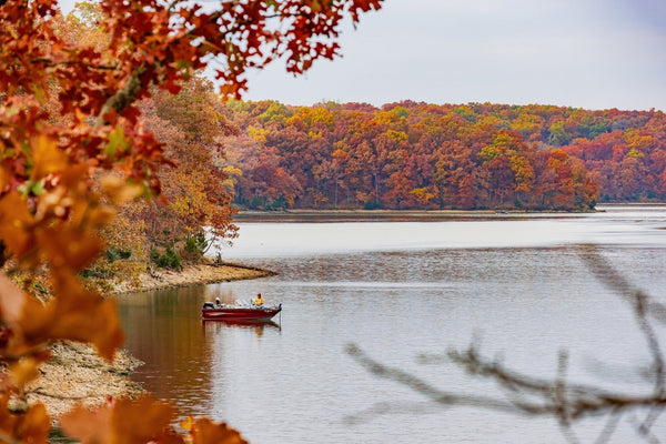 Late Summer to Early Fall Fishing: Best Line Sizes and Techniques